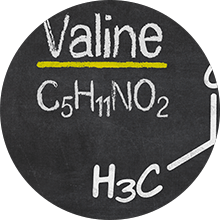 L-Valine